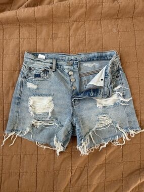 American Eagle Outfitters Distressed Light Blue Denim Shorts